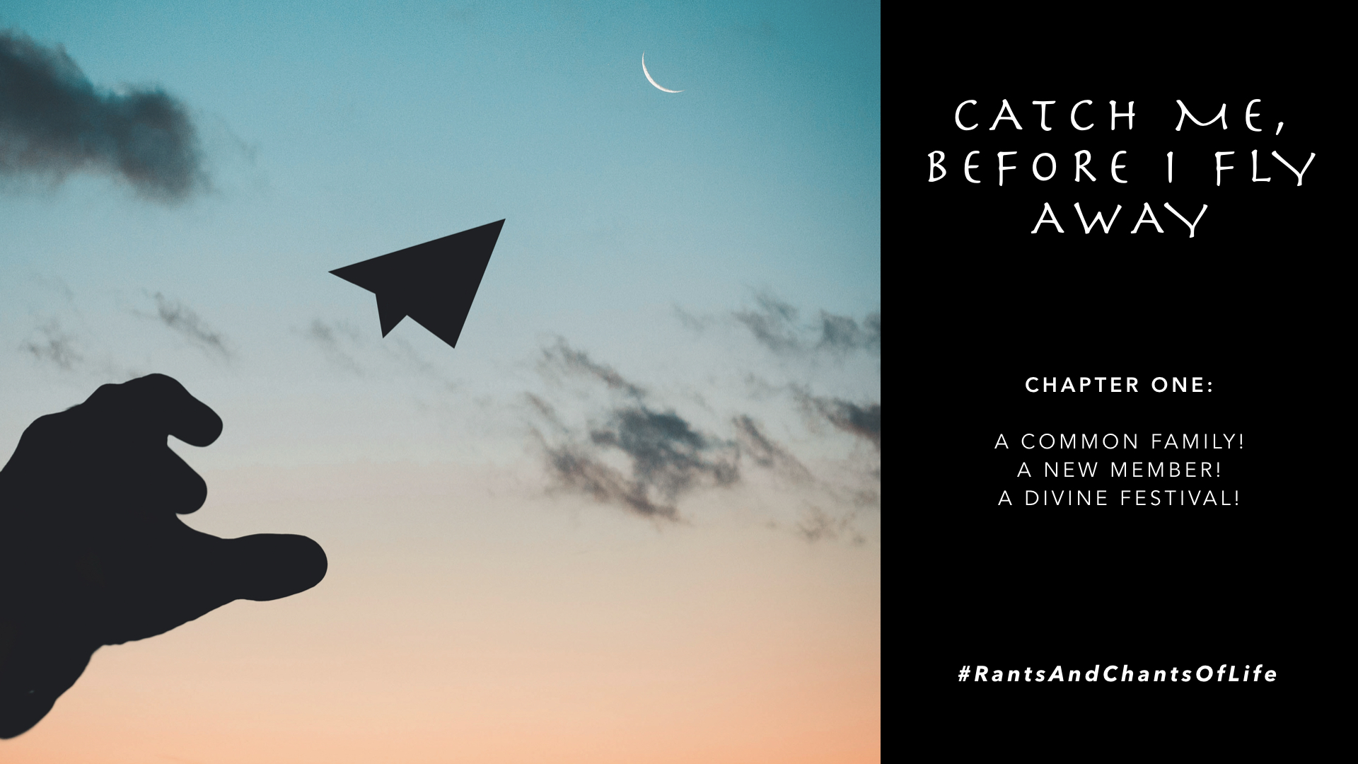 CATCH ME, BEFORE I FLY AWAY!